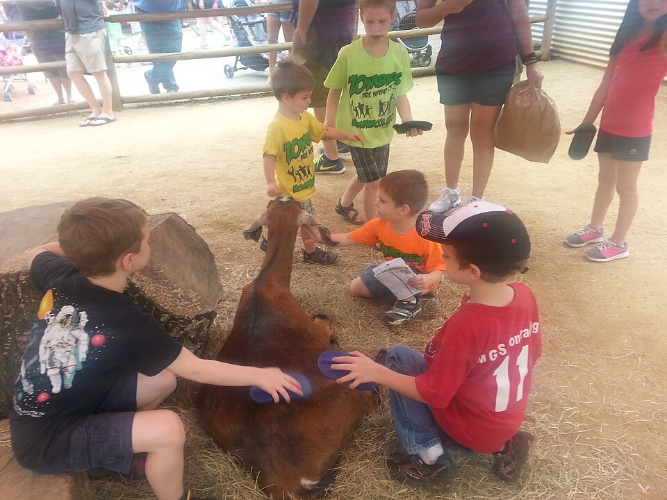 Kinderboerderij De Veldmuis