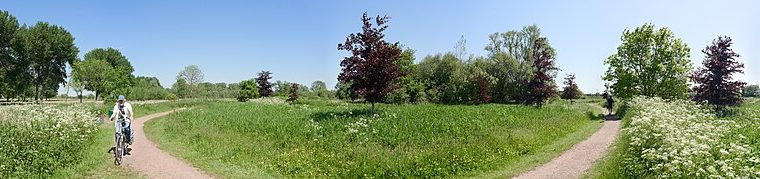 foto: frank markesteijn / cc by sa 4.0 via wikimedia commons