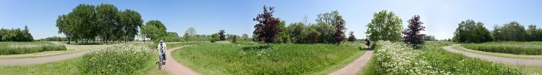 Wandeling in Het Twiske — Natuur in Zaanstad