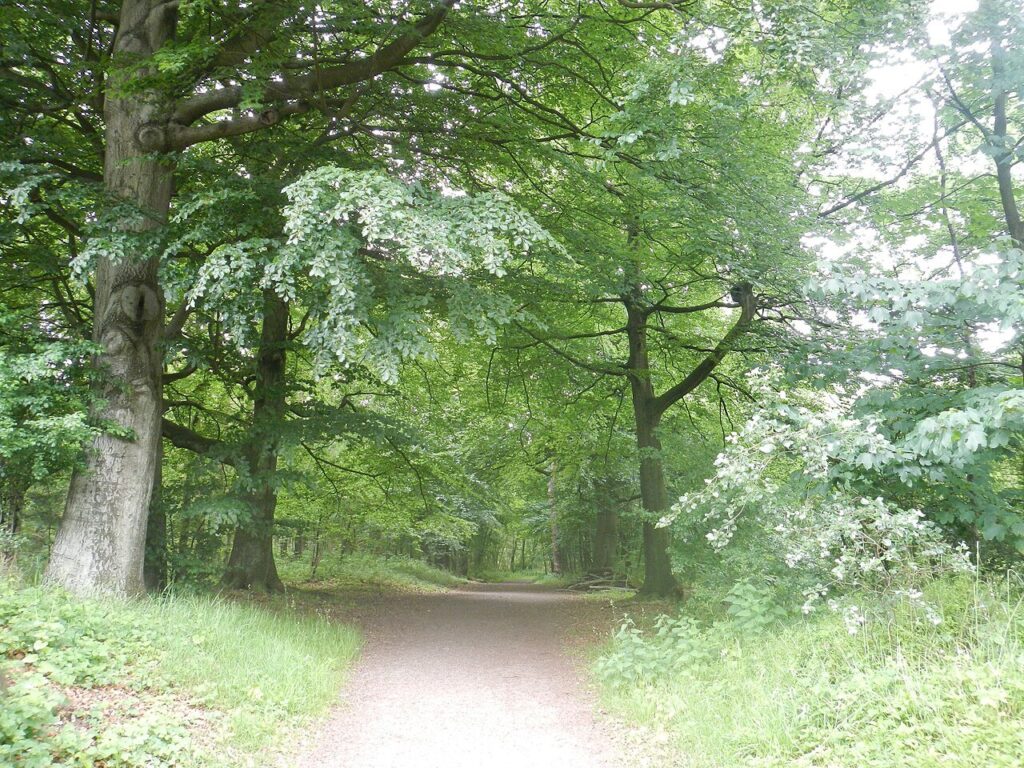 [Z]aan de Wandel in Zaanstad