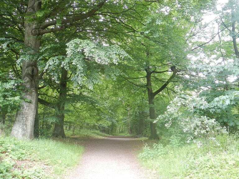 [Z]aan de Wandel — Natuur in Zaanstad
