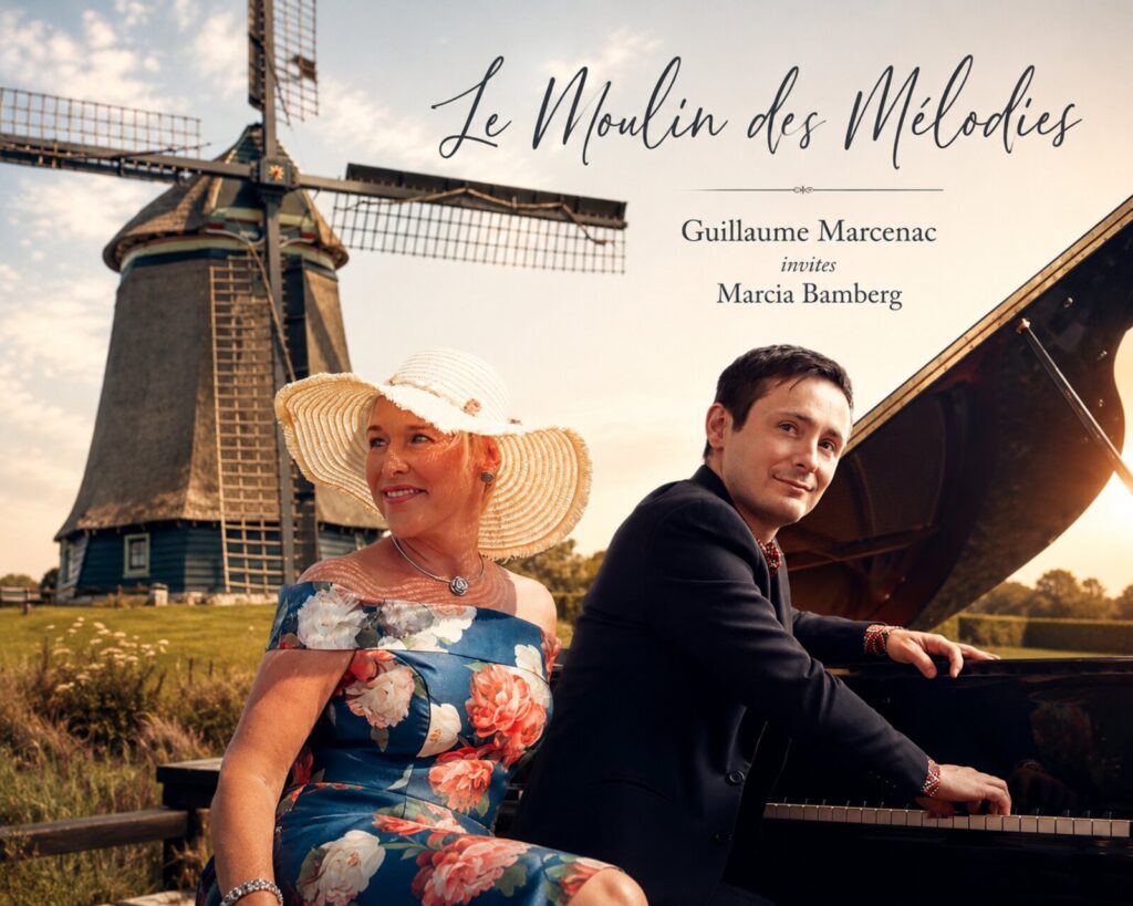 Le Moulin des Mélodies in Wormerveer